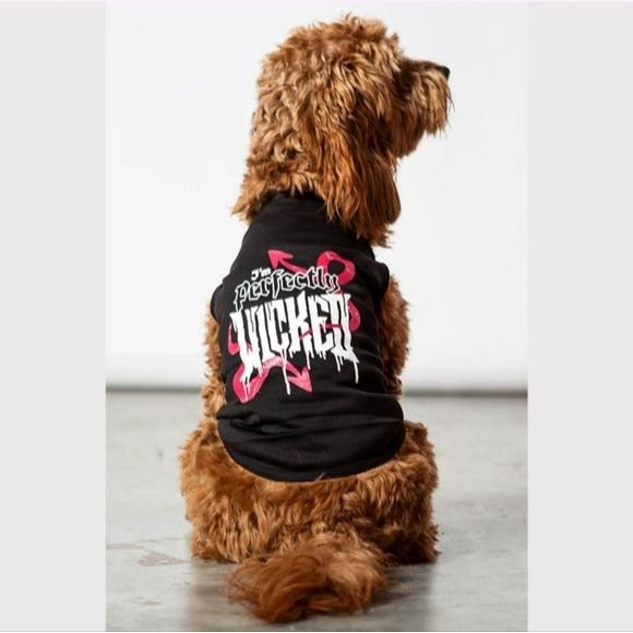 Pets Hoodie | I'm Perfectly Wicked Graphic | Black Jersey Cotton - Killstar - Pet Hoodies