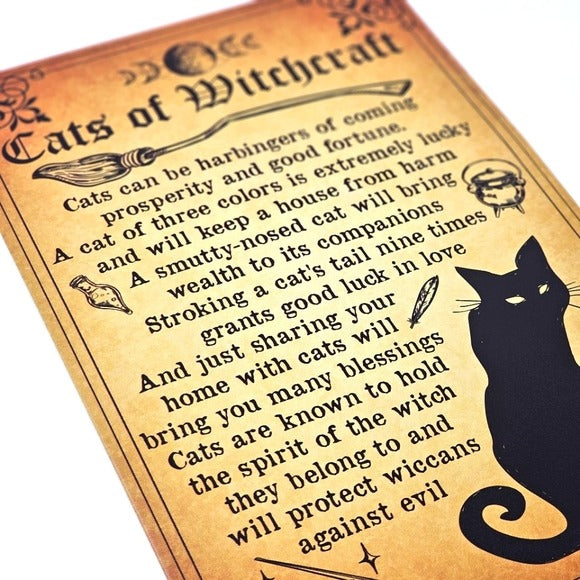 Vintage Metal Sign | Indoor/Outdoor | Cats Of Witchcraft Gold, Orange - A Gothic Universe - Signs