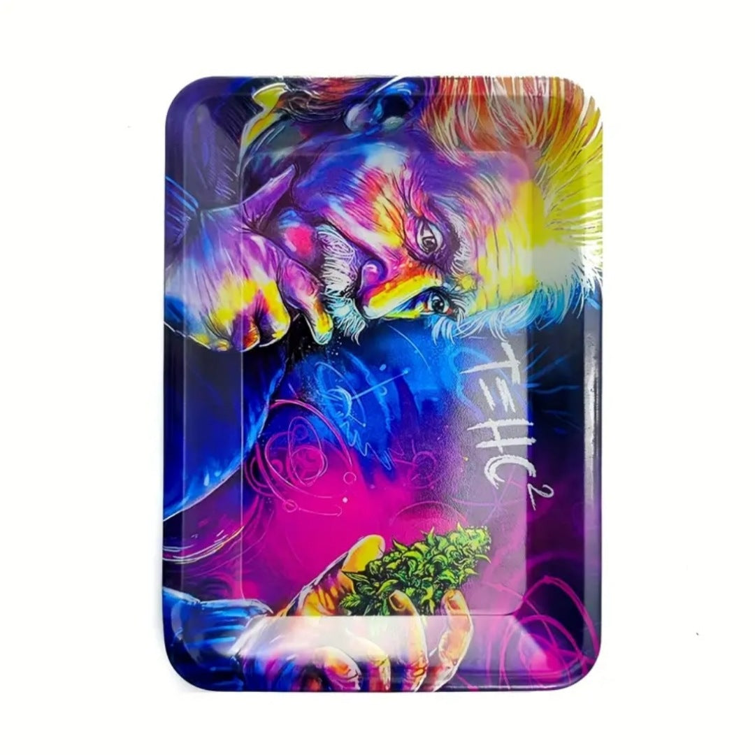 T=HC Einstein Tray | Bright Blended Colors Curved Edges Einstein Graphic - A Gothic Universe - Trays
