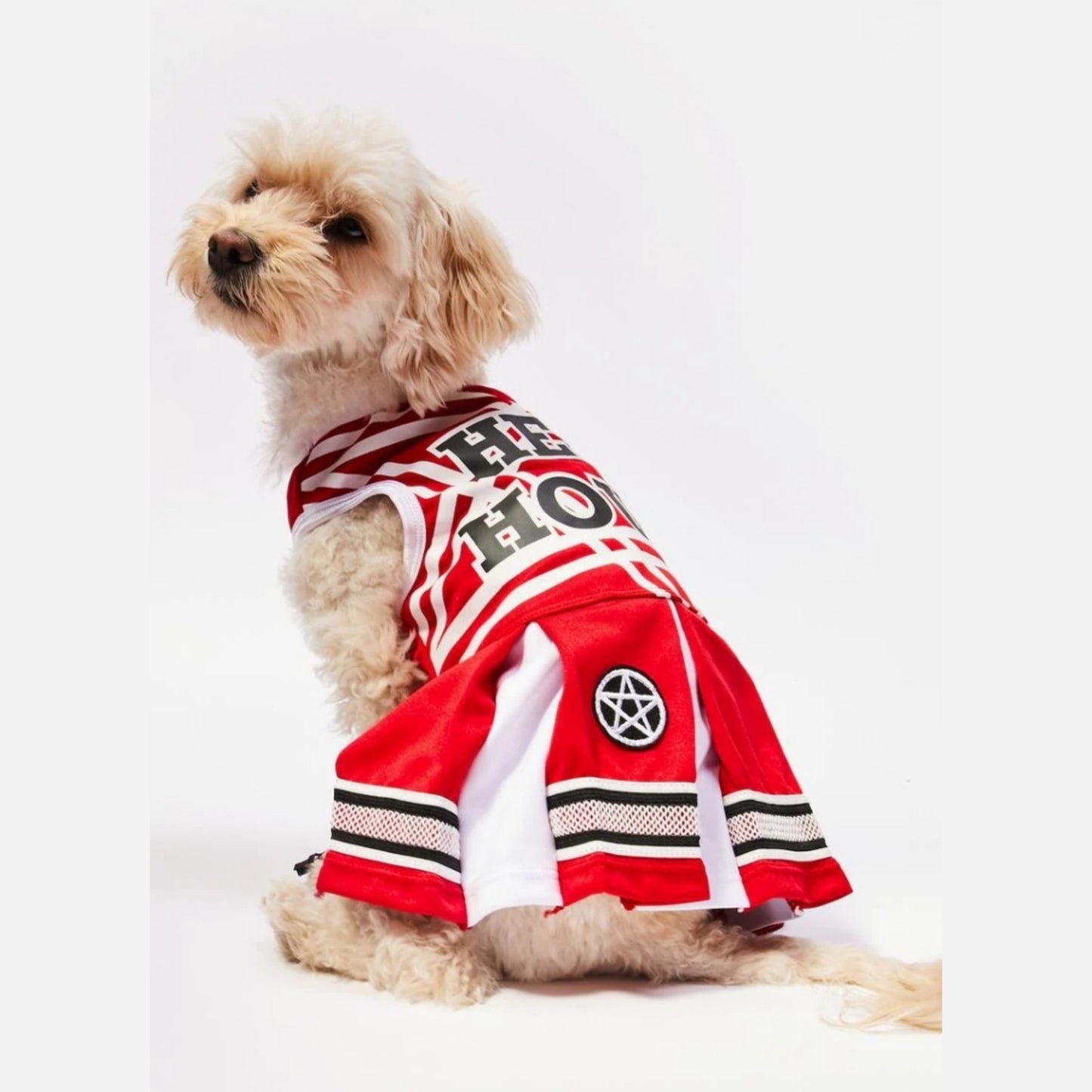 Dog Costume | Satan's Cheerleader | Pentagram Patches Pom Poms - Trickz N Treatz - Costumes