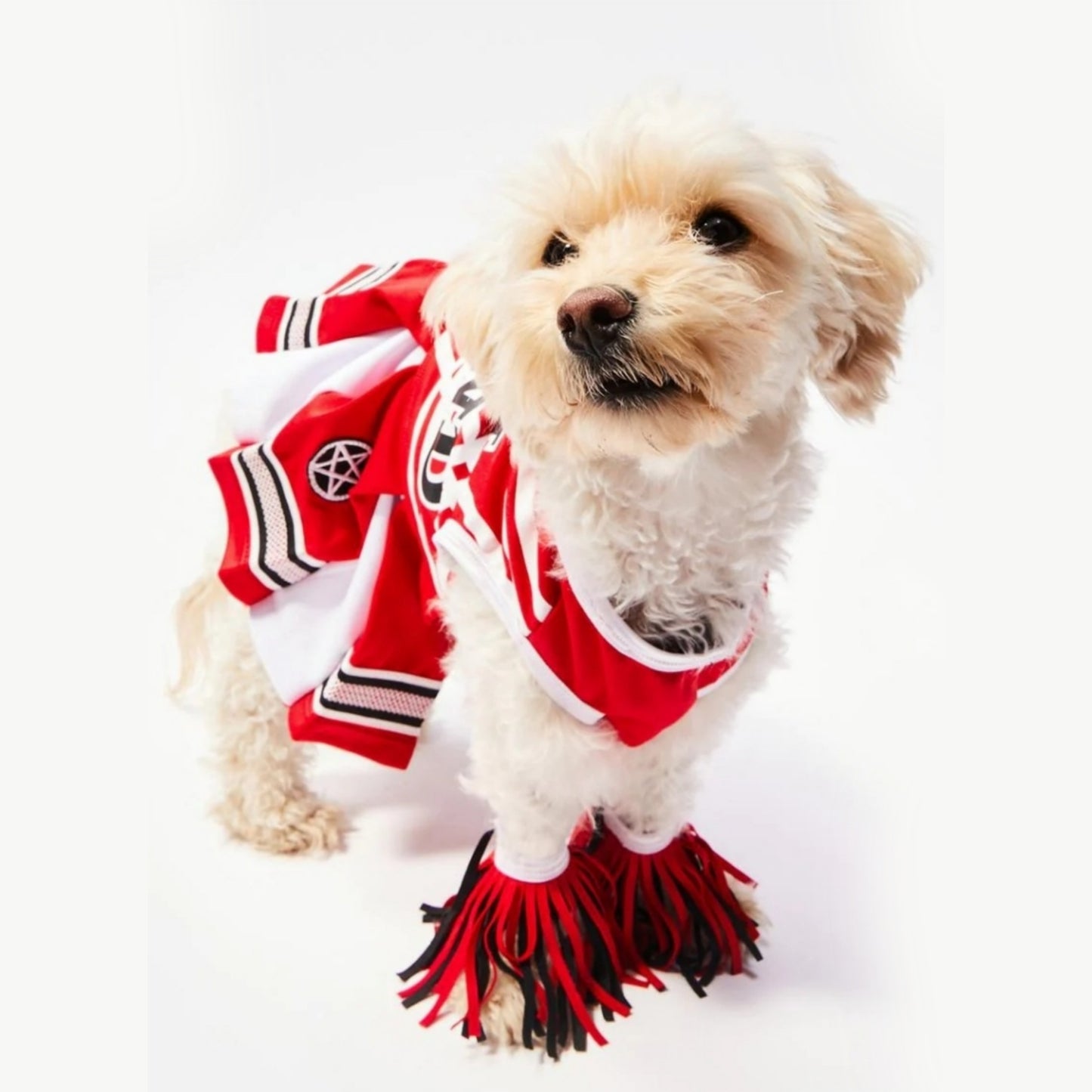 Dog Costume | Satan's Cheerleader | Pentagram Patches Pom Poms - Trickz N Treatz - Costumes