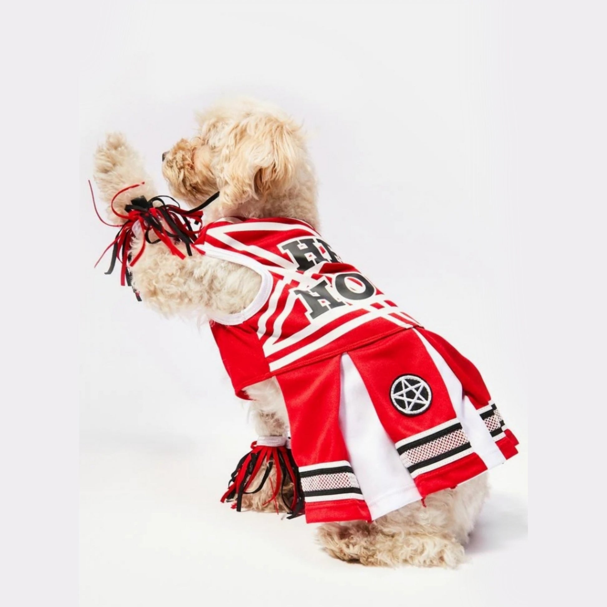 Dog Costume | Satan's Cheerleader | Pentagram Patches Pom Poms - Trickz N Treatz - Costumes