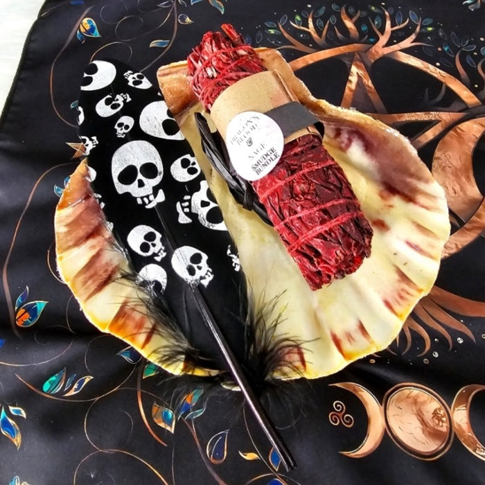 Smudging Set | Dragon's Blood Sage, Black Skull Feather & Tiger Shell - A Gothic Universe - Smudging Sets