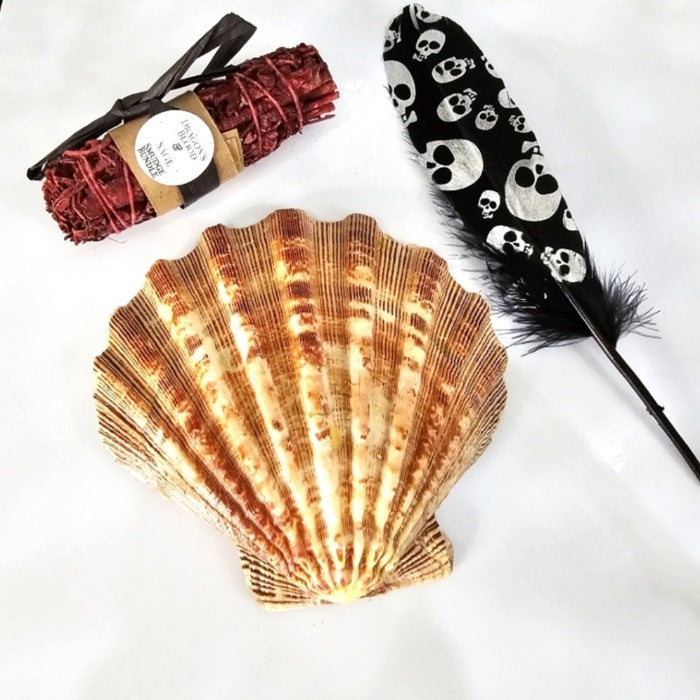 Smudging Set | Dragon's Blood Sage, Black Skull Feather & Tiger Shell - A Gothic Universe - Smudging Sets