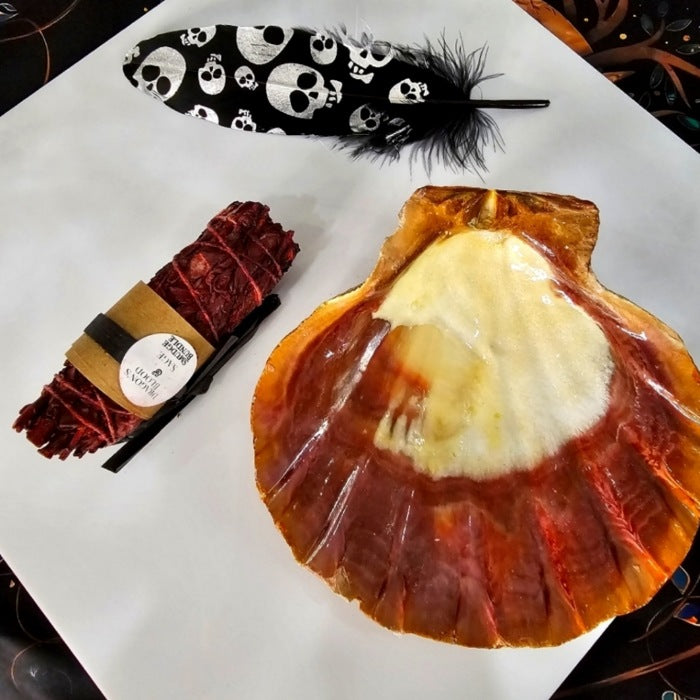 Smudging Set | Dragon's Blood Sage, Black Skull Feather & Tiger Shell - A Gothic Universe - Smudging Sets