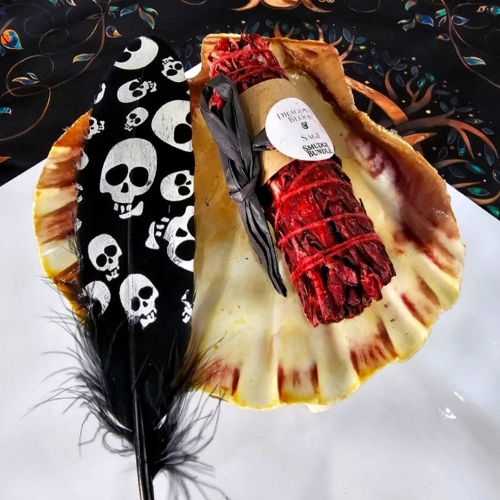 Smudging Set | Dragon's Blood Sage, Black Skull Feather & Tiger Shell - A Gothic Universe - Smudging Sets