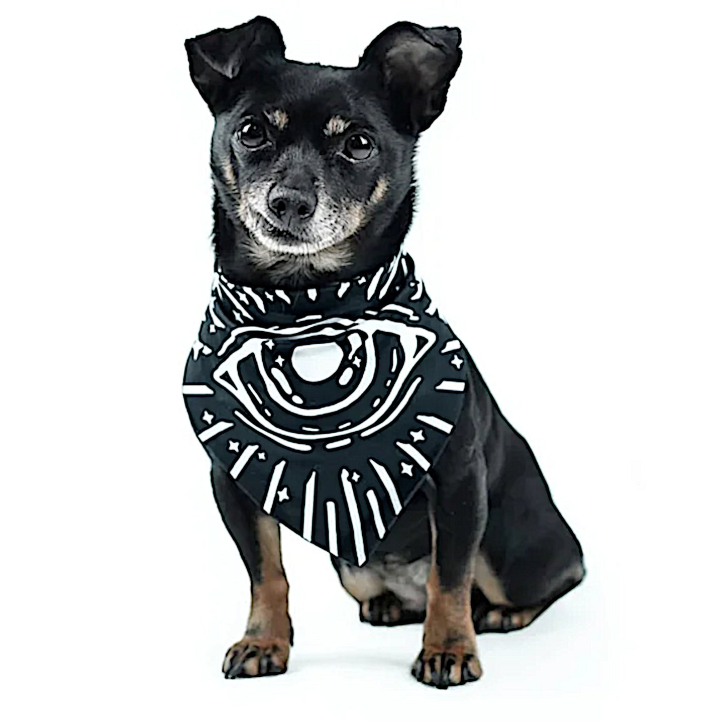 Pet Bandana | Give Me Treatos Ouija Black Vegan Bandana Dog or Cat - Rogue + Wolf - Pet Bandanas