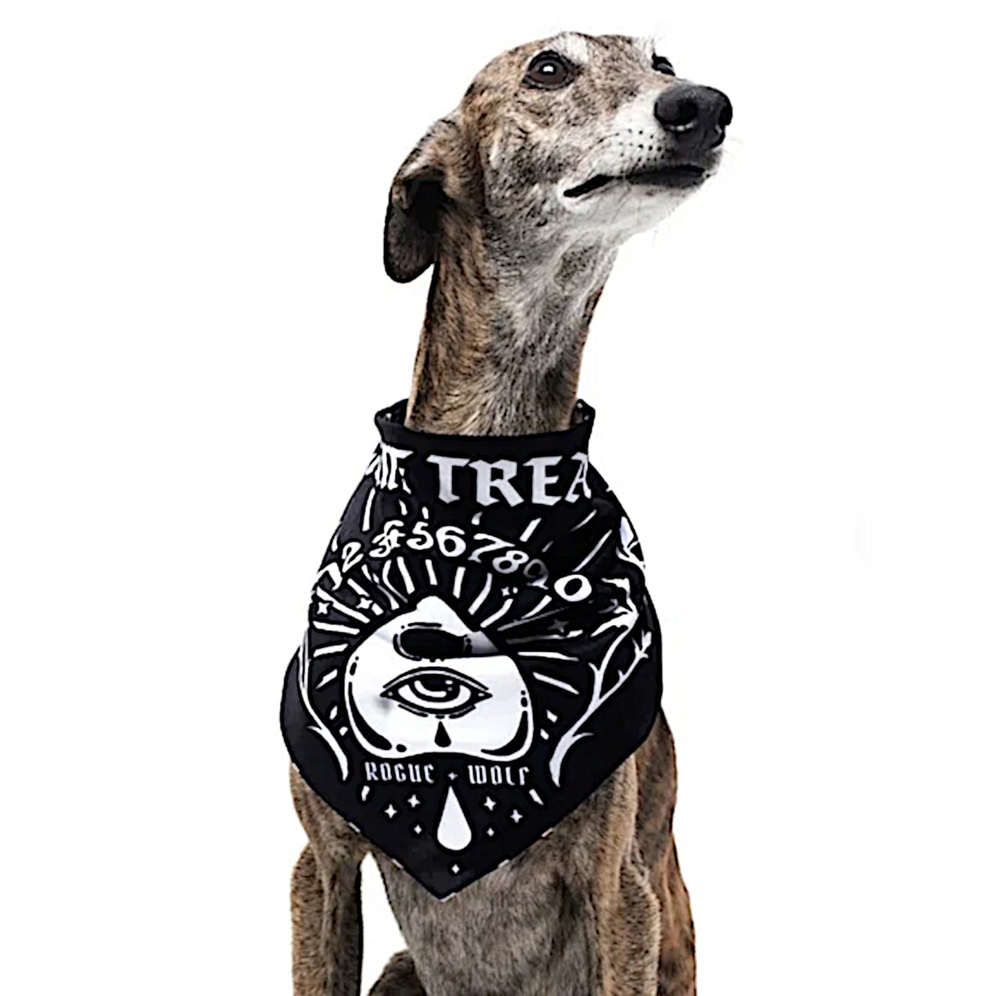 Pet Bandana | Give Me Treatos Ouija Black Vegan Bandana Dog or Cat - Rogue + Wolf - Pet Bandanas