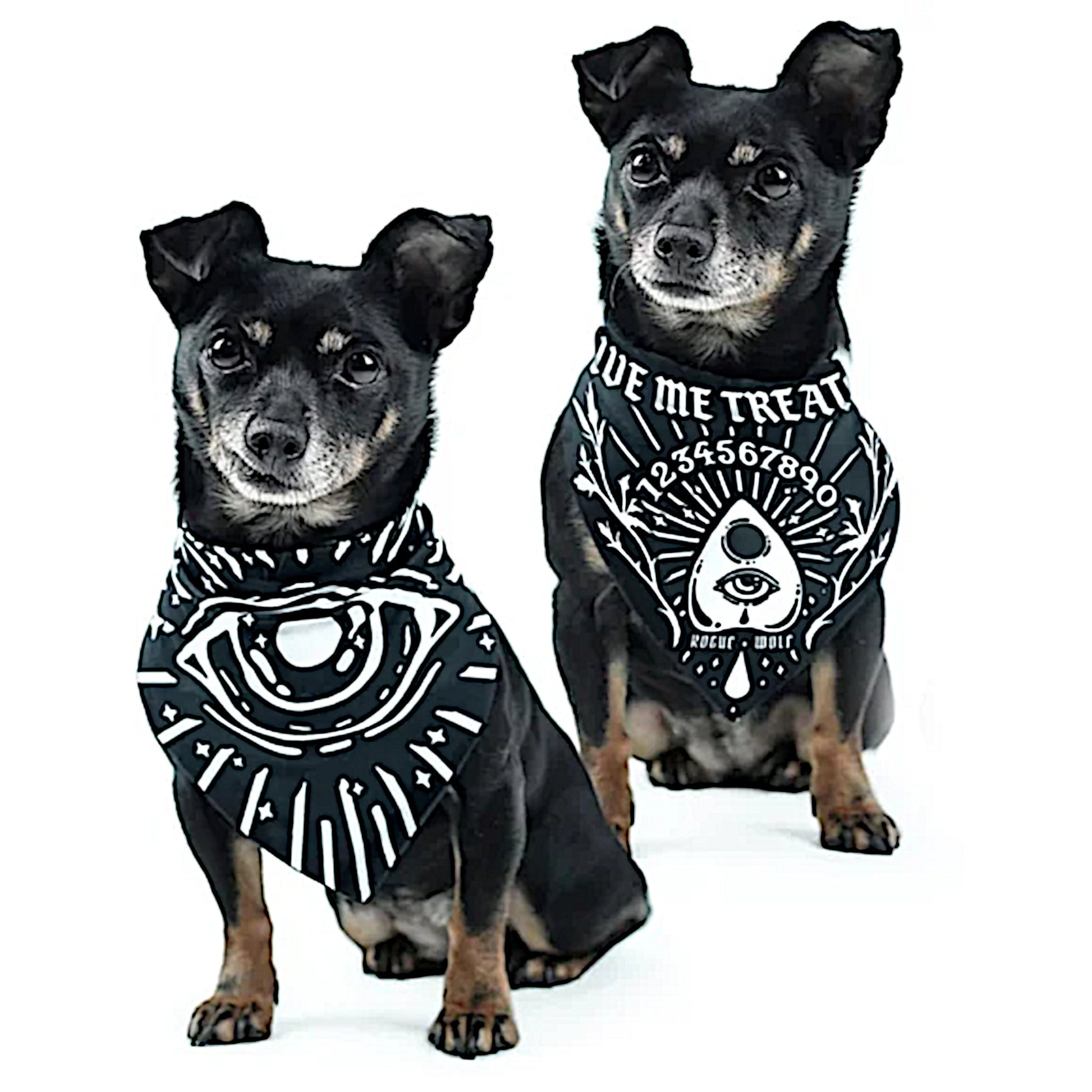 Pet Bandana | Give Me Treatos Ouija Black Vegan Bandana Dog or Cat - Rogue + Wolf - Pet Bandanas