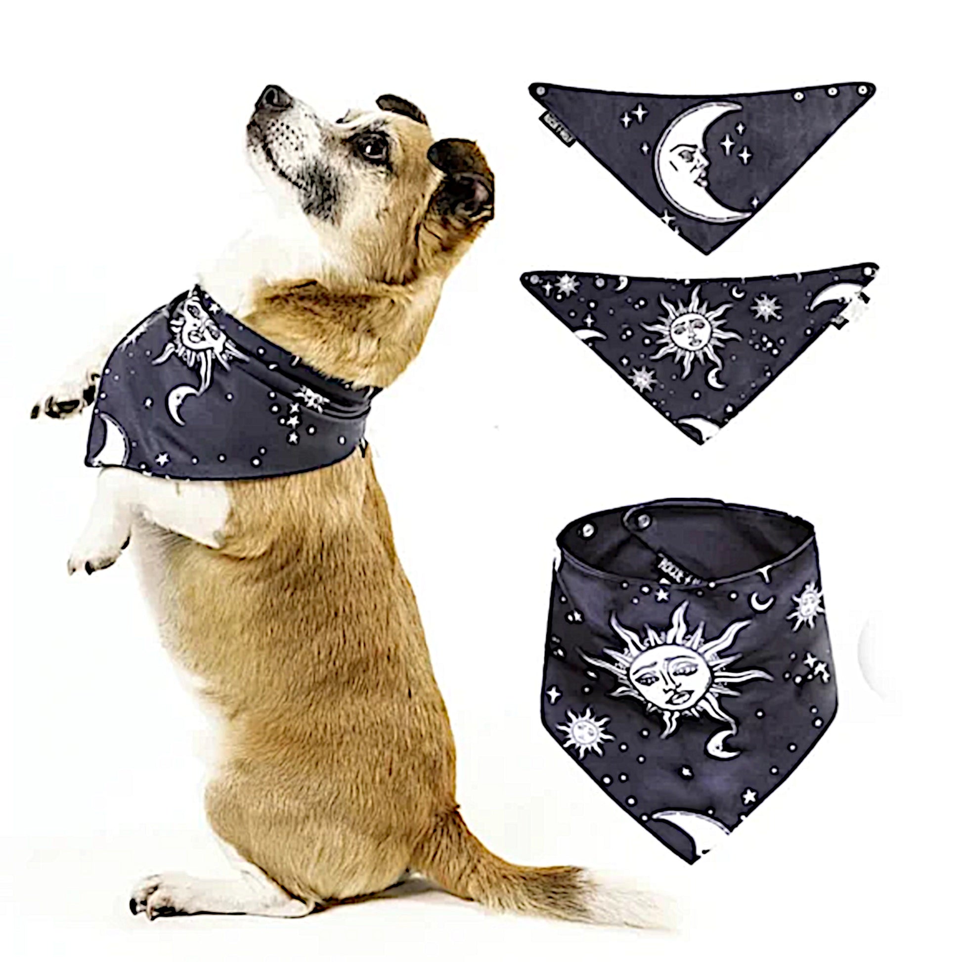 Pet Bandana | Reversible Celestial Print Black White Snap Closure - Rogue + Wolf - Pet Bandanas