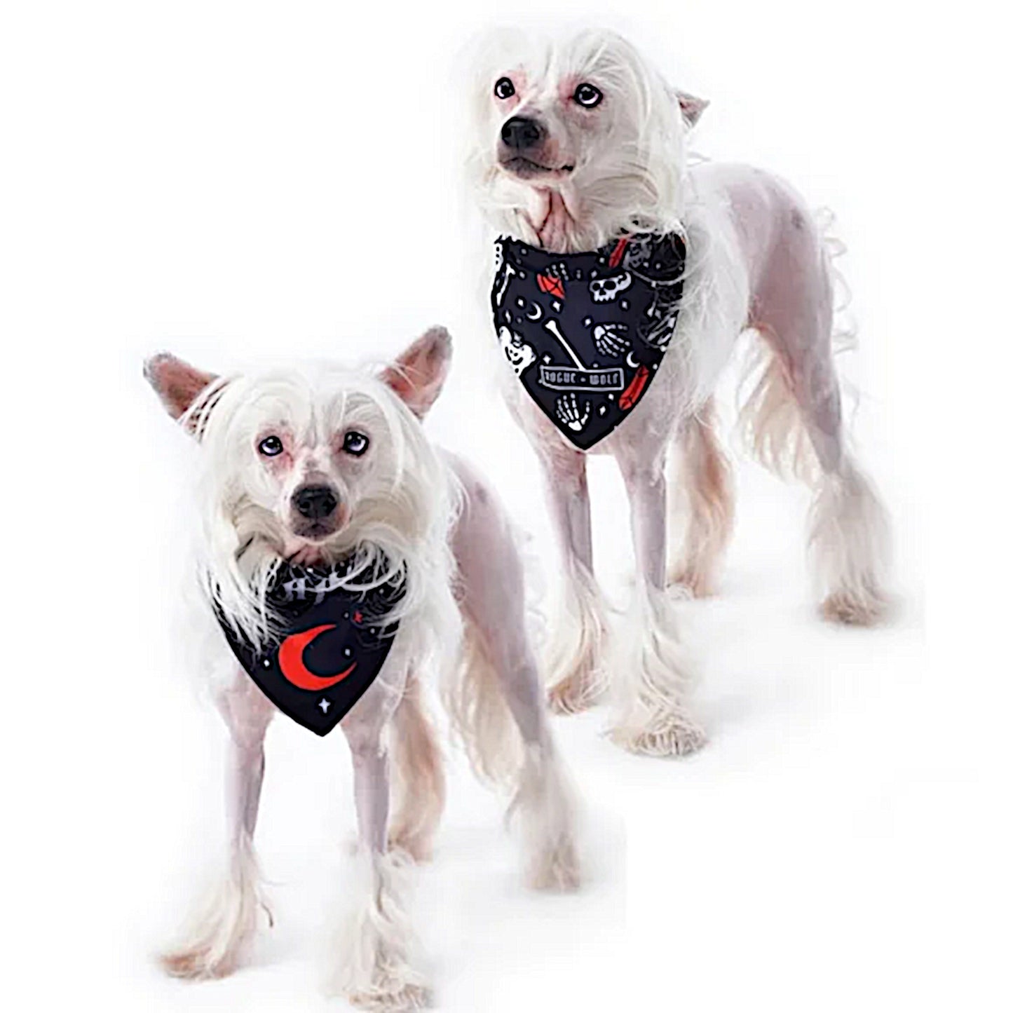 Pet Bandana | You Can't Dig With Us | Reversible Snap Closure Red - Rogue + Wolf - Pet Bandanas