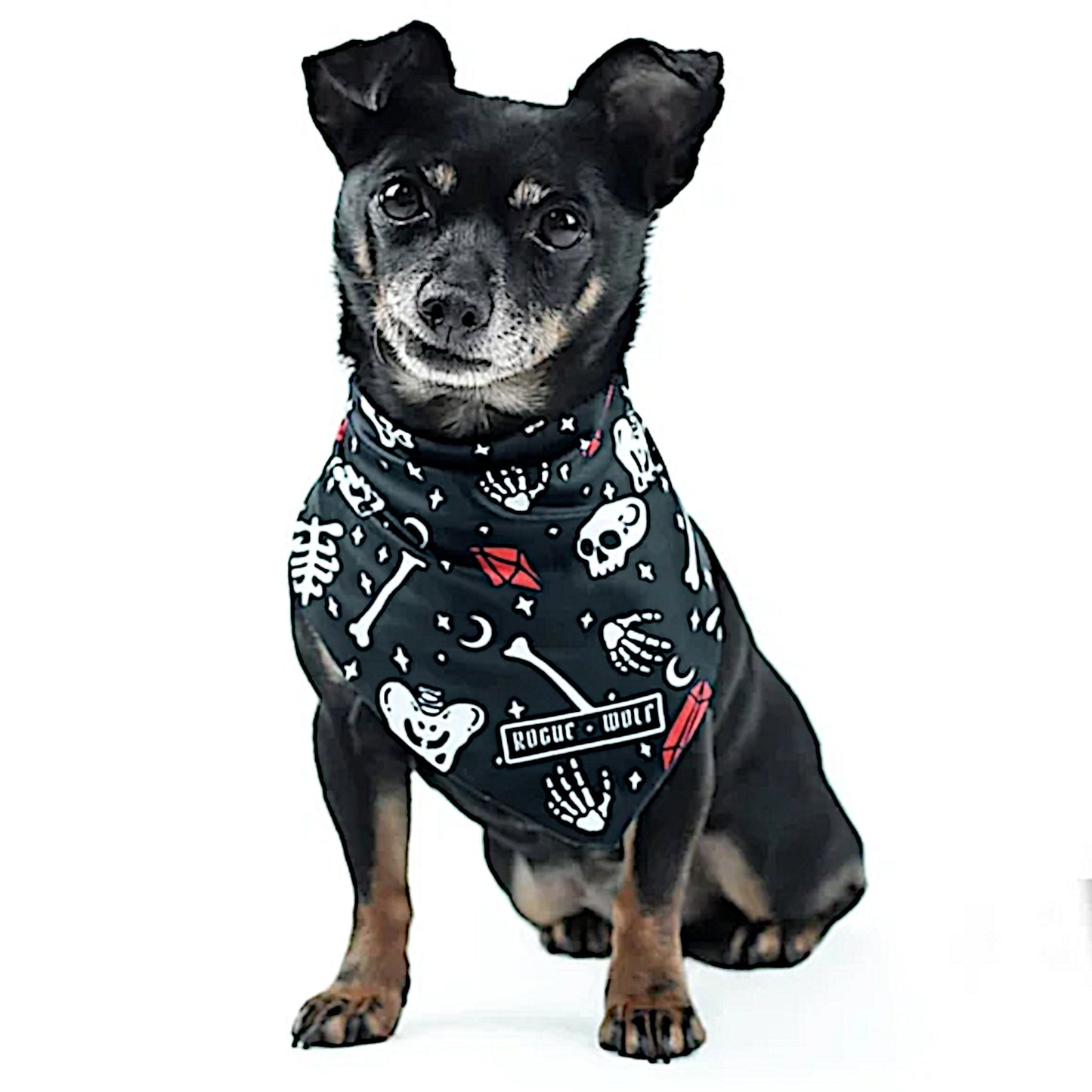 Pet Bandana | You Can't Dig With Us | Reversible Snap Closure Red - Rogue + Wolf - Pet Bandanas