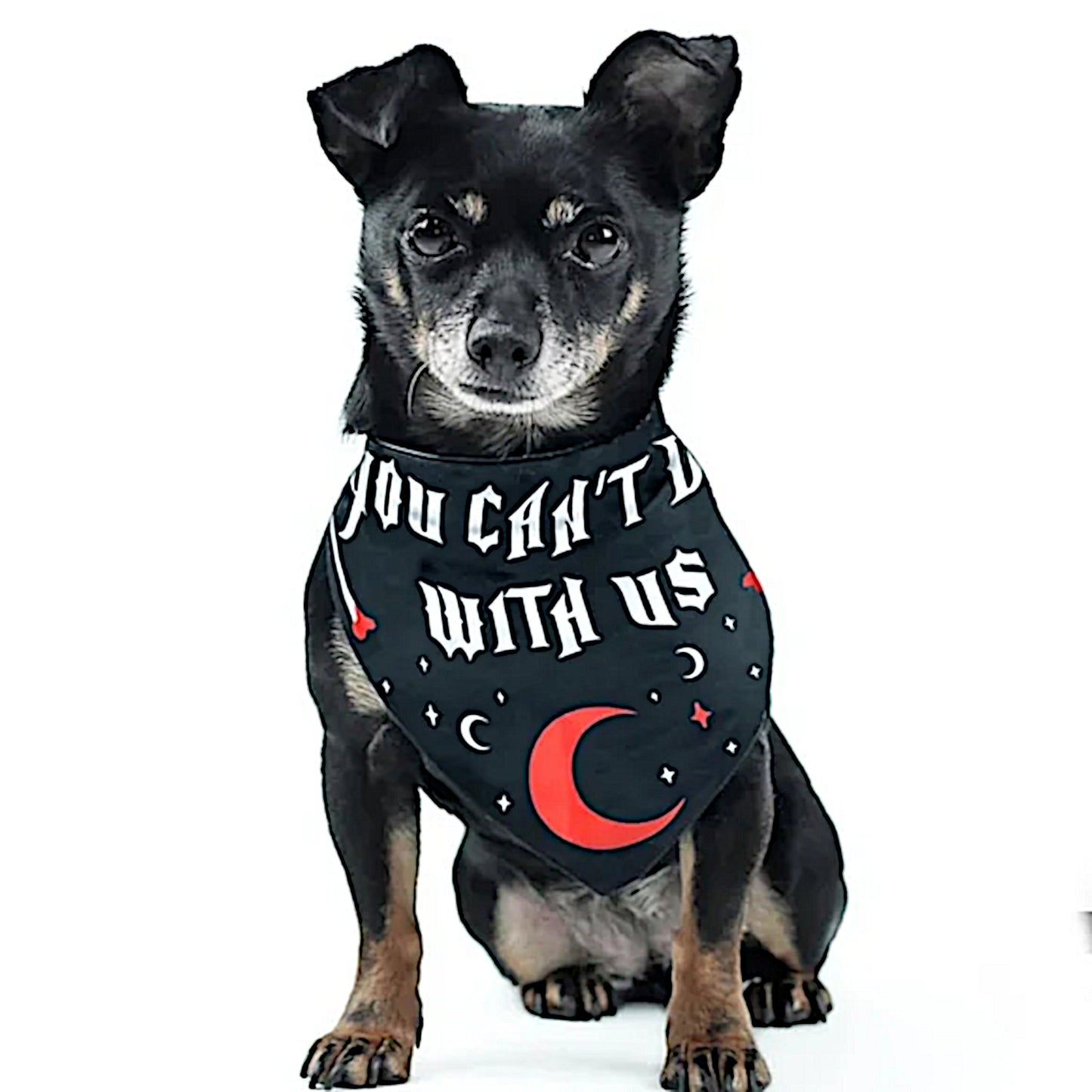 Pet Bandana | You Can't Dig With Us | Reversible Snap Closure Red - Rogue + Wolf - Pet Bandanas