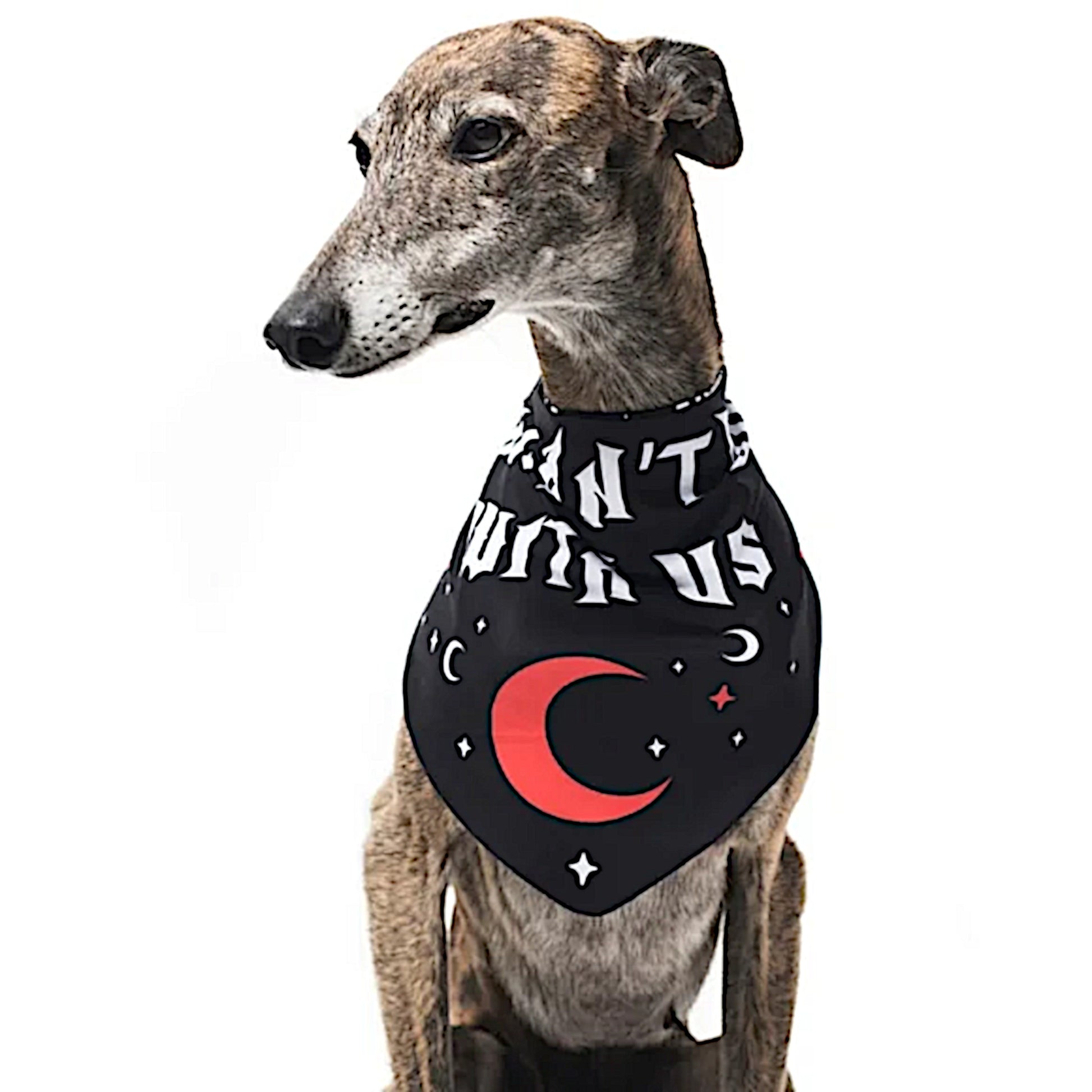 Pet Bandana | You Can't Dig With Us | Reversible Snap Closure Red - Rogue + Wolf - Pet Bandanas