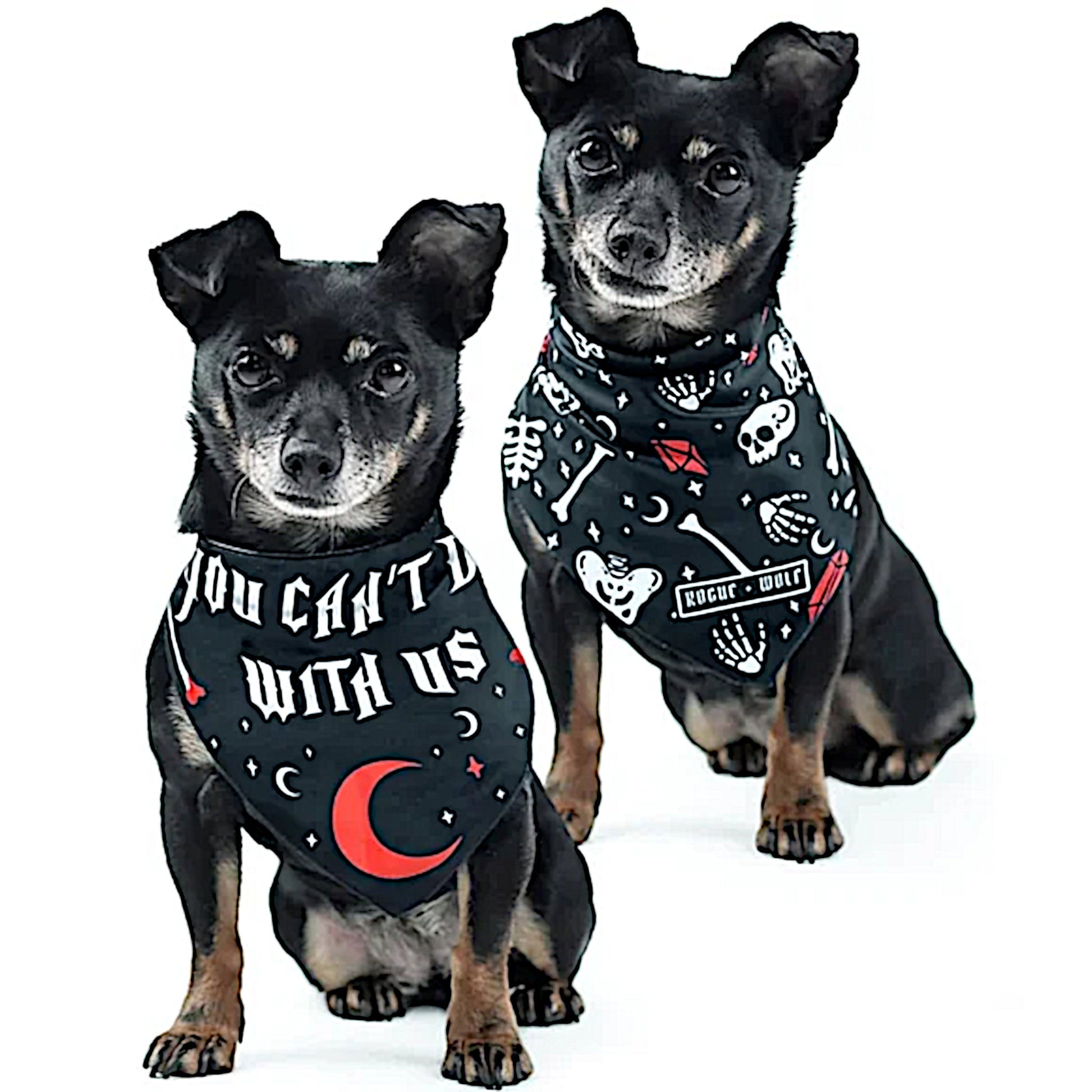 Pet Bandana | You Can't Dig With Us | Reversible Snap Closure Red - Rogue + Wolf - Pet Bandanas