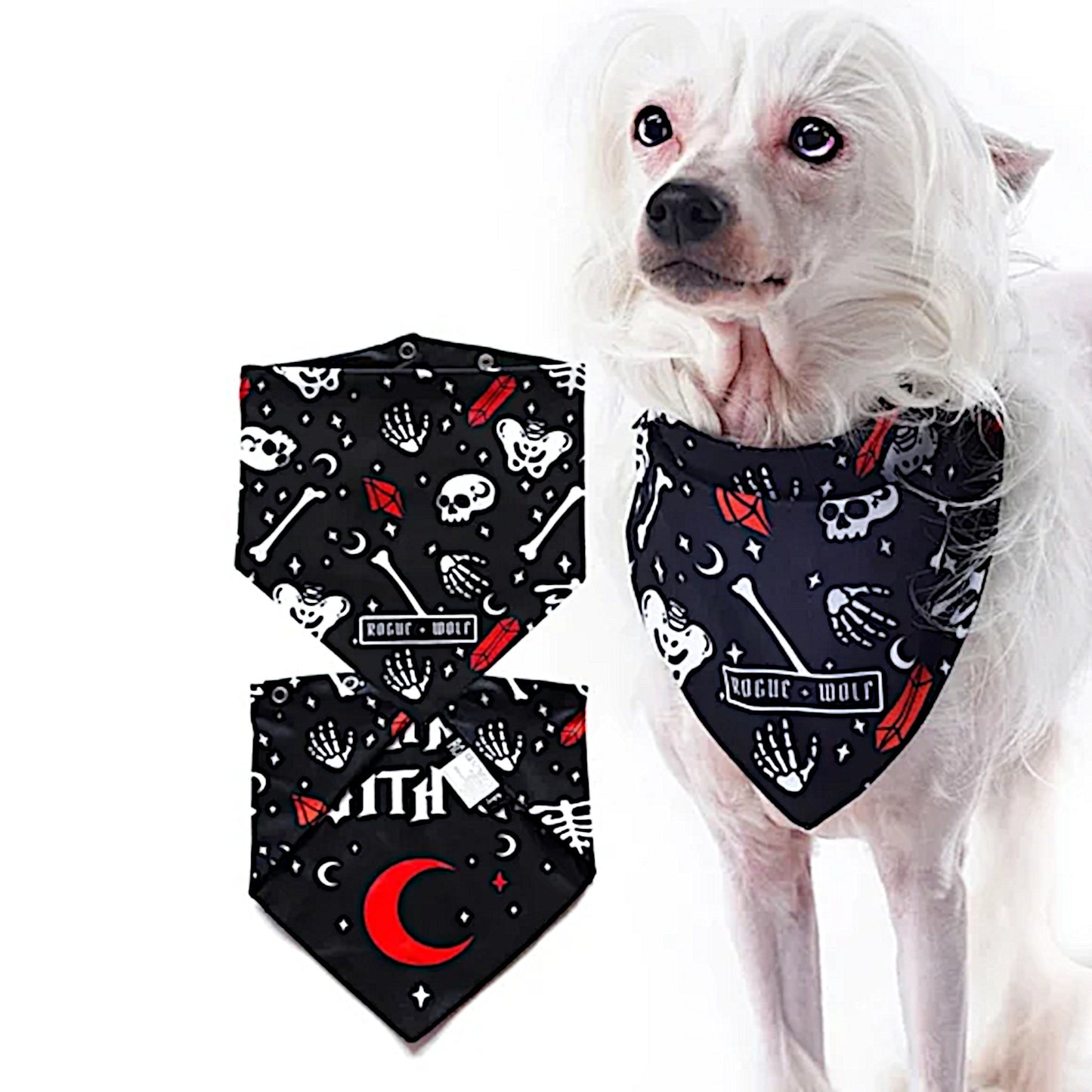 Pet Bandana | You Can't Dig With Us | Reversible Snap Closure Red - Rogue + Wolf - Pet Bandanas