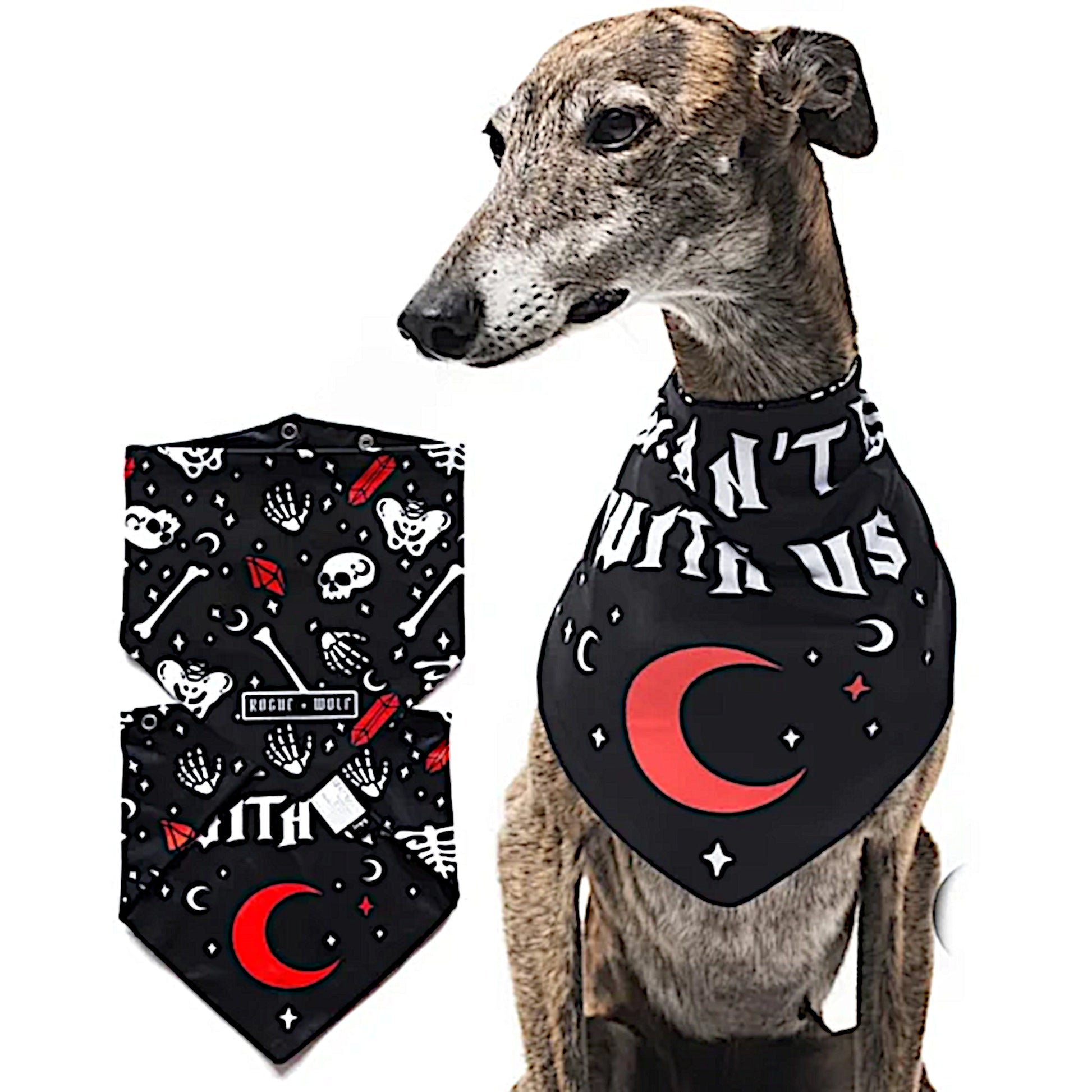 Pet Bandana | You Can't Dig With Us | Reversible Snap Closure Red - Rogue + Wolf - Pet Bandanas