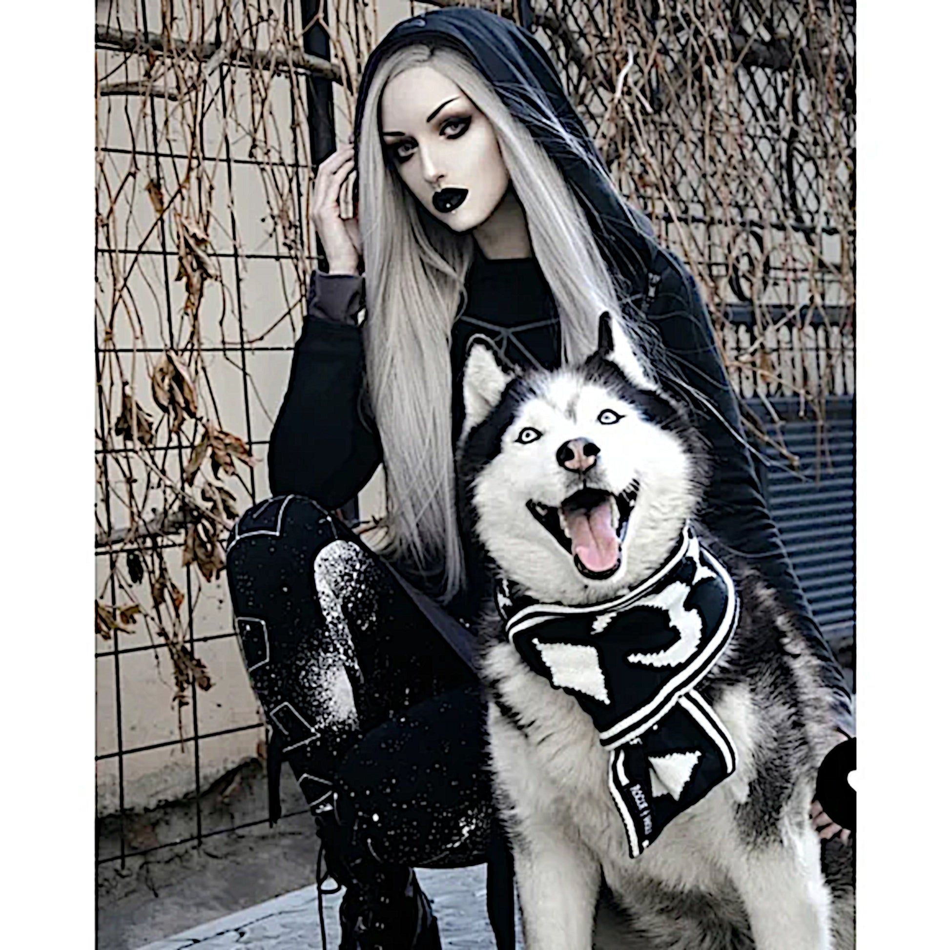 Pet Scarf | Moon Pupper Scarf Black & White Celestial Print Yarn - Rogue + Wolf - Pet Scarfs