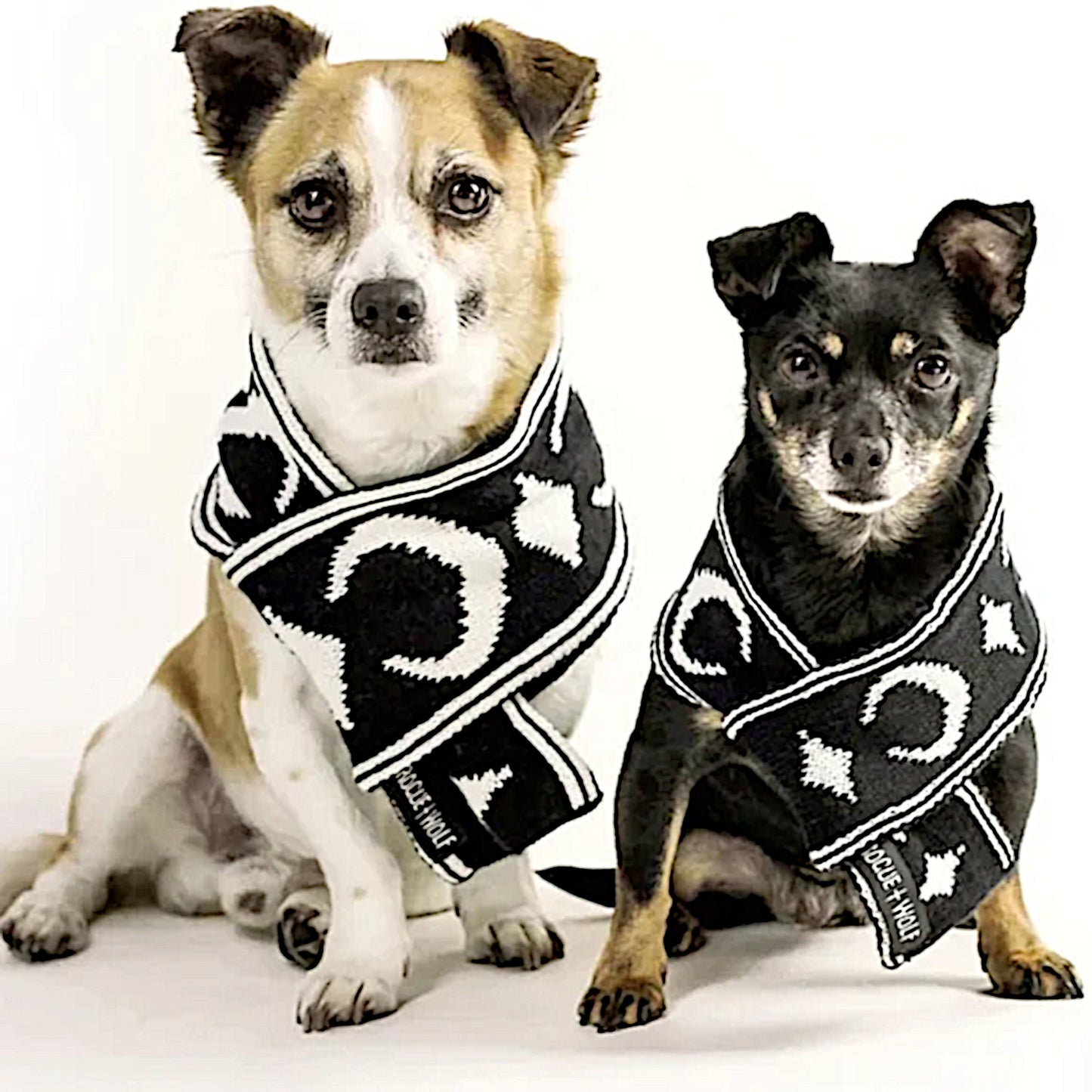 Pet Scarf | Moon Pupper Scarf Black & White Celestial Print Yarn - Rogue + Wolf - Pet Scarfs