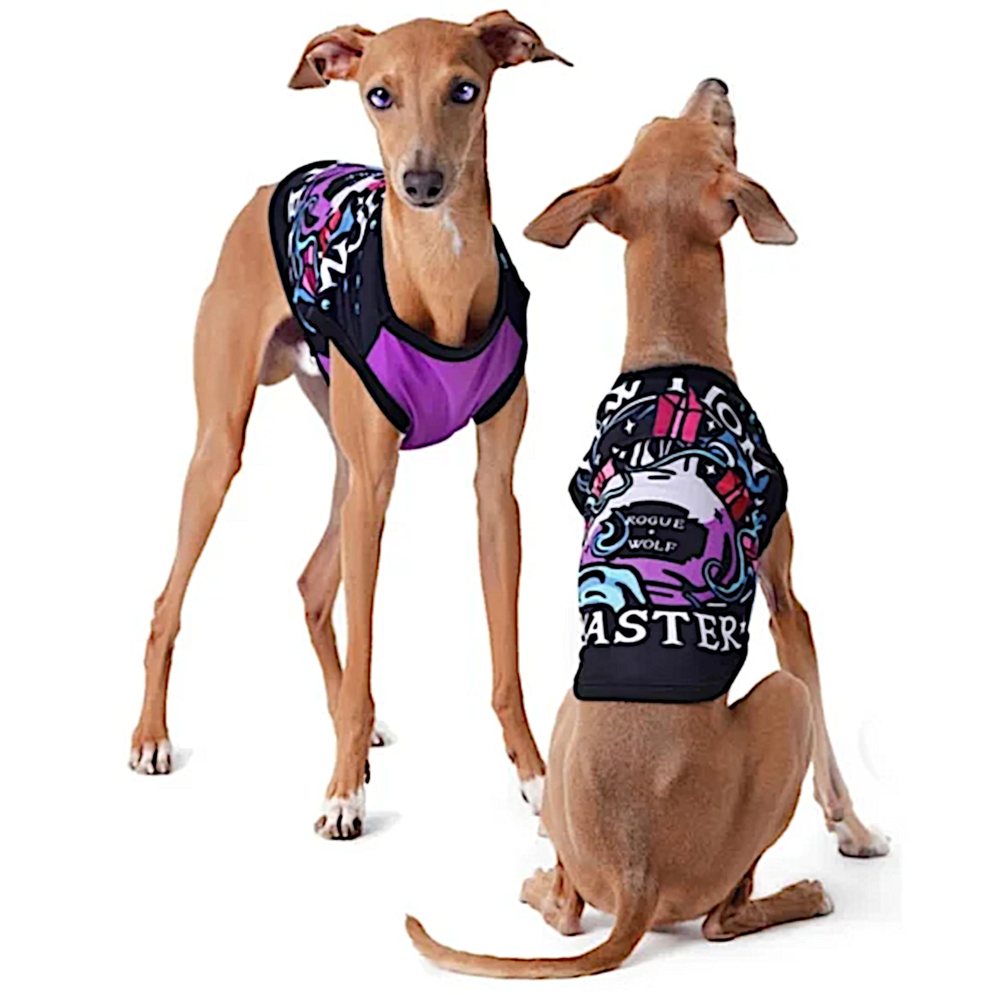 Pawfection Pet Vest | Pawtion Master Soft Comfy Magical Purple Black Pet Vest - A Gothic Universe - Pet Vests