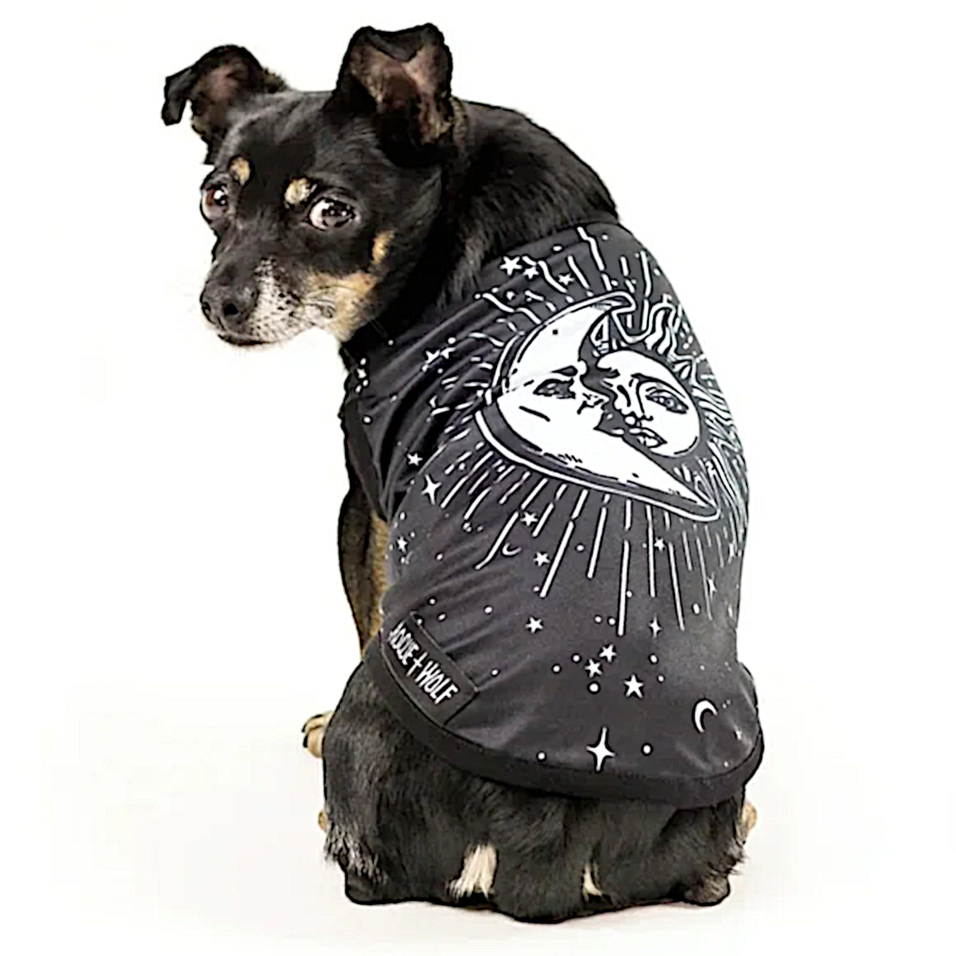 Celestial Pet Vest | Vegan Sun & Moon Print | Pullover Design Black & White - Rogue + Wolf - Pet Vests