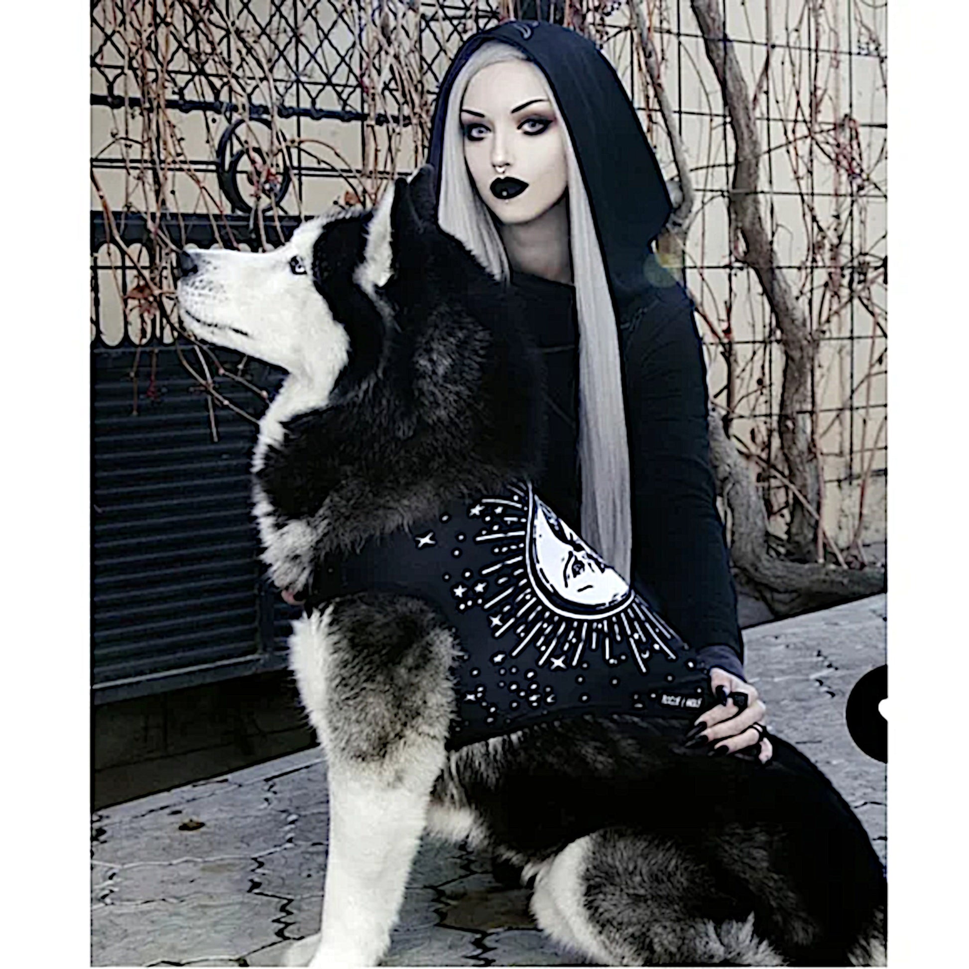 Celestial Pet Vest | Vegan Sun & Moon Print | Pullover Design Black & White - Rogue + Wolf - Pet Vests