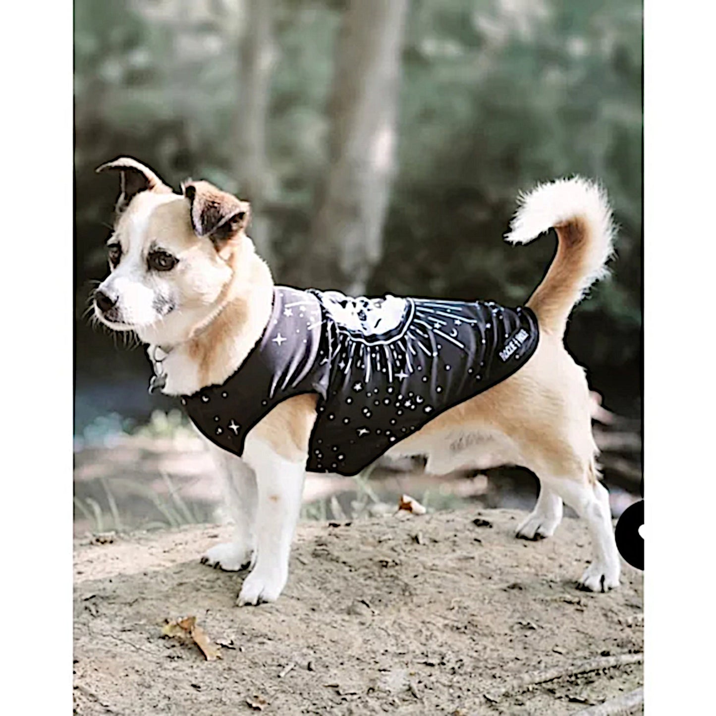 Celestial Pet Vest | Vegan Sun & Moon Print | Pullover Design Black & White - Rogue + Wolf - Pet Vests