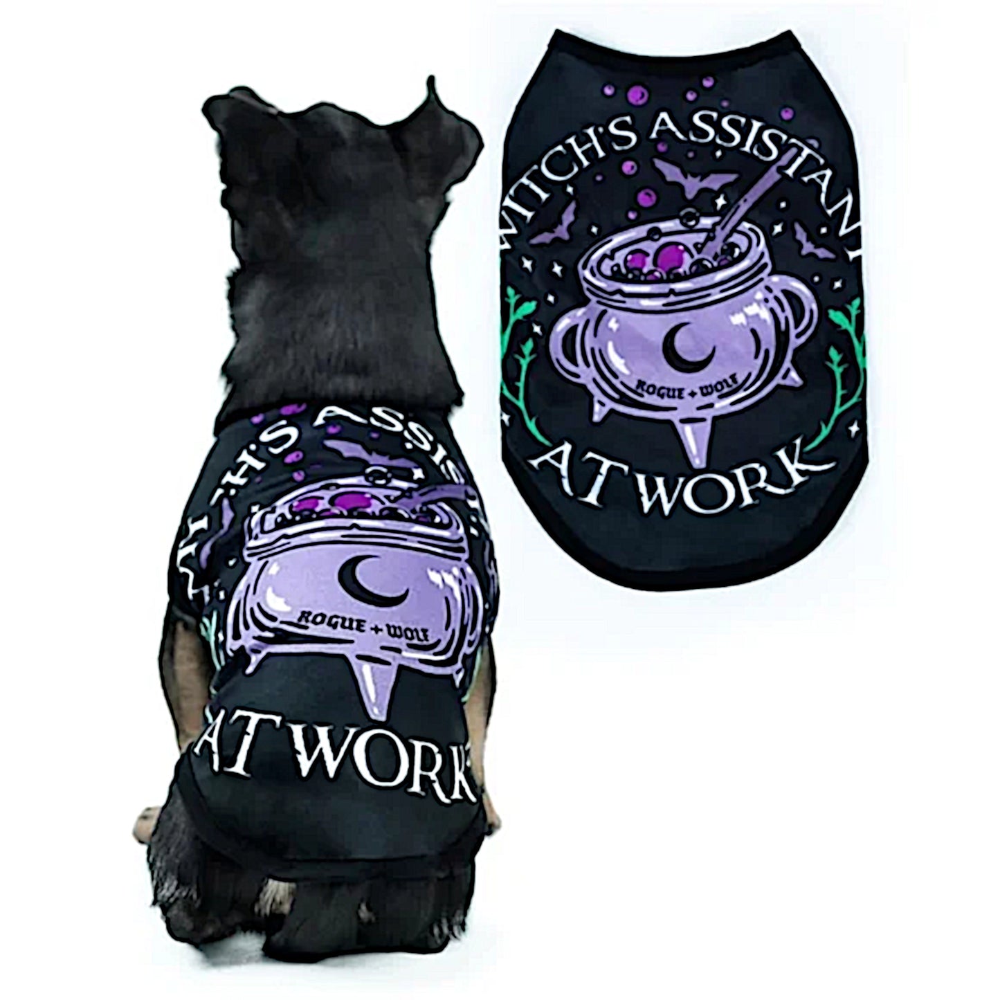 Pet Vest | Witch's Assistant At Work Black Purple Dog Or Cat Vest - Rogue + Wolf - Pet Vests