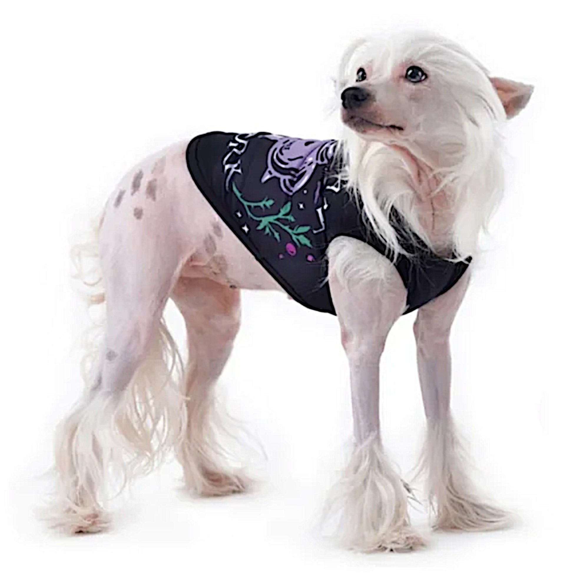 Pet Vest | Witch's Assistant At Work Black Purple Dog Or Cat Vest - Rogue + Wolf - Pet Vests