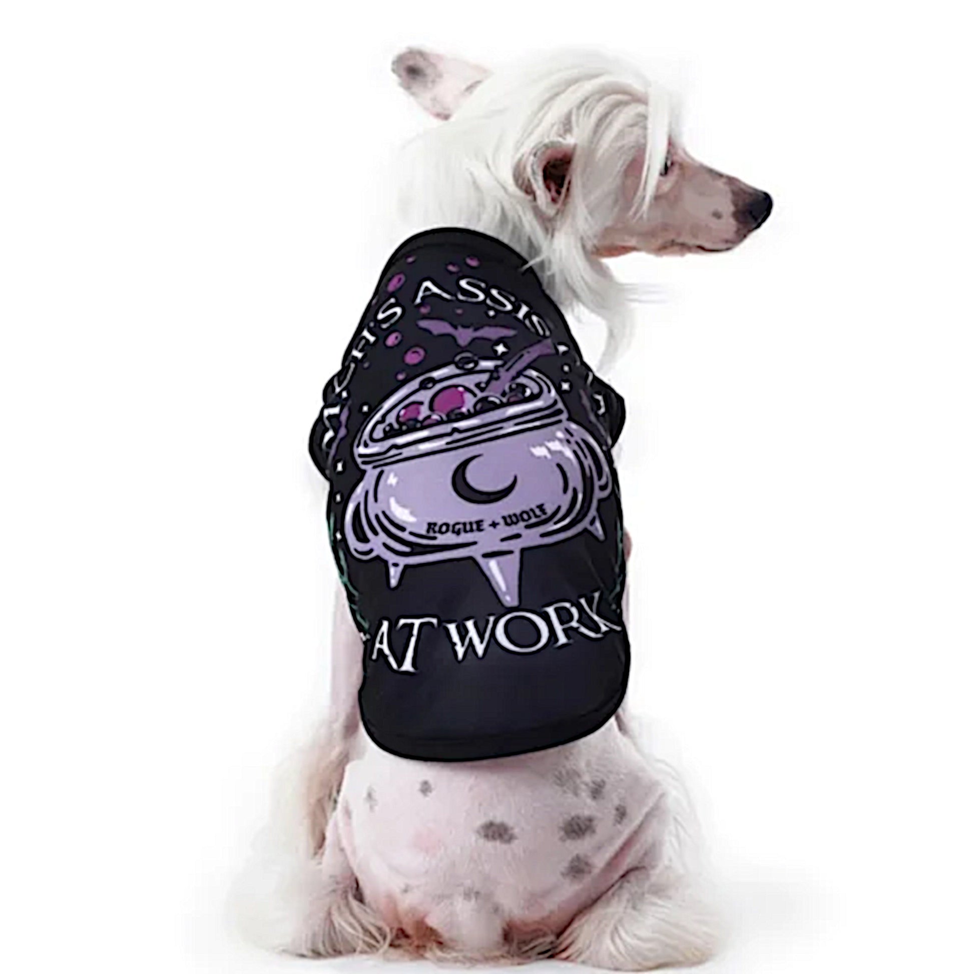 Pet Vest | Witch's Assistant At Work Black Purple Dog Or Cat Vest - Rogue + Wolf - Pet Vests